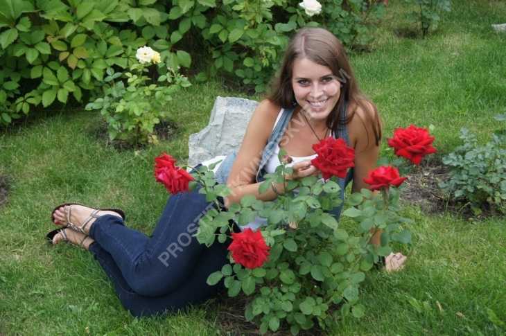 Проститутки