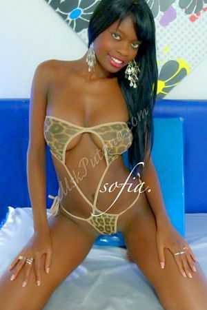 sofia, метро Панфиловская