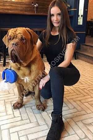 кристина, метро Войковская